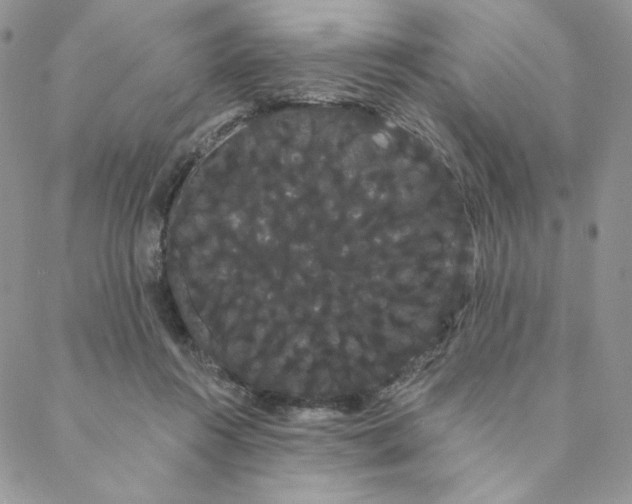 X0000088590360200706081333