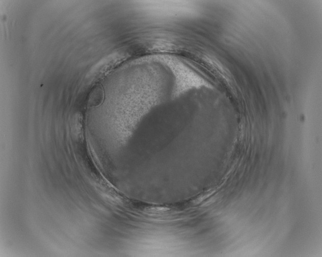 X0000088590361200706081333