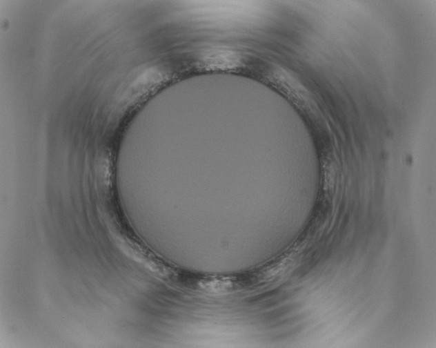 X0000088590362200706081333