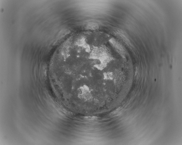 X0000088590363200706081333