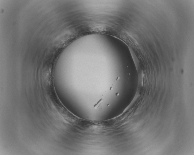 X0000088590364200706081333