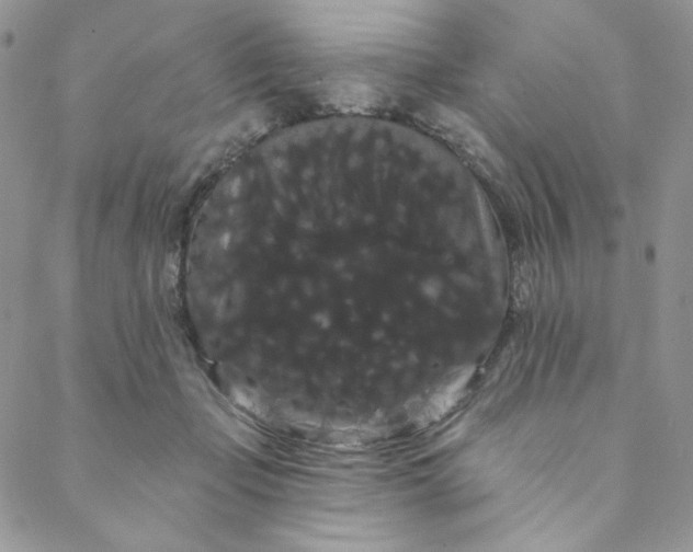 X0000088590365200706081333