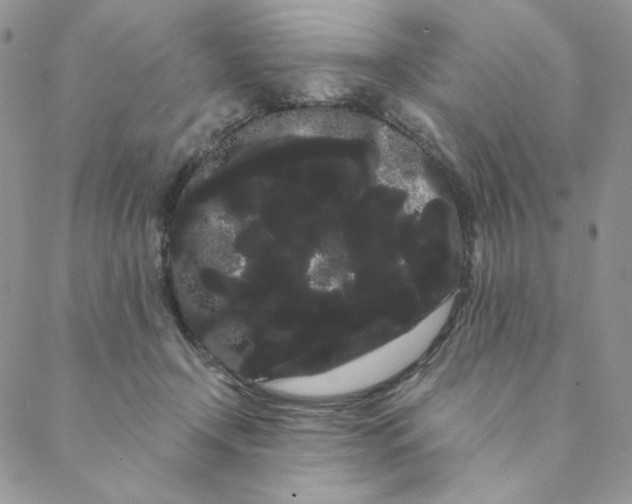 X0000088590366200706081334