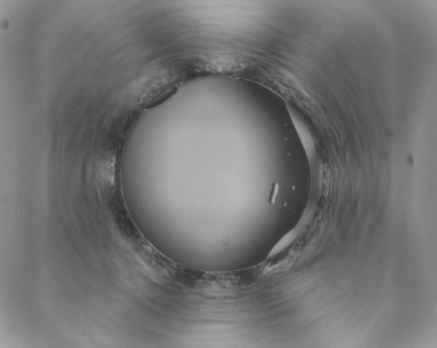 X0000088590368200706081334