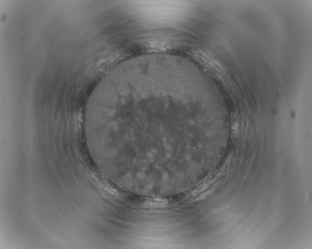 X0000088590369200706081334