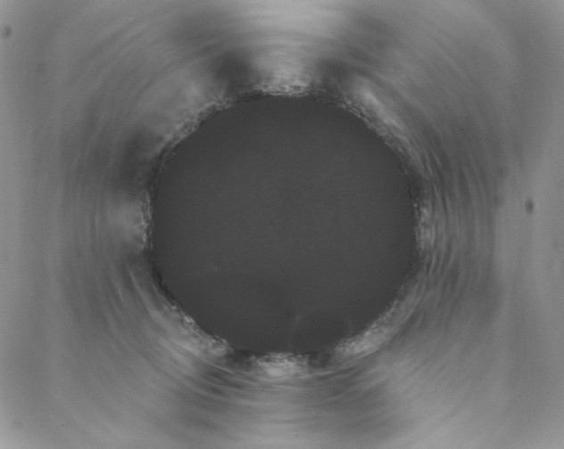 X0000088590370200706081334