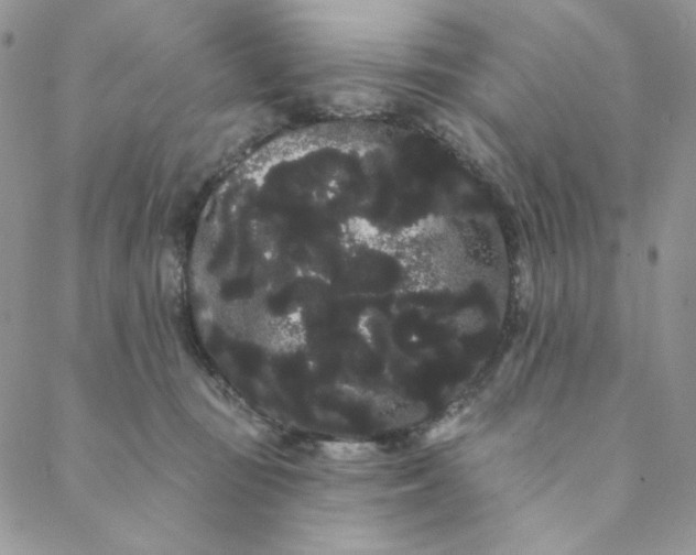 X0000088590371200706081334