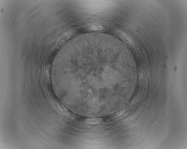 X0000088590373200706081334