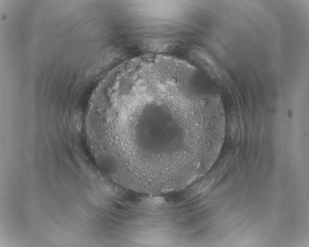 X0000088590374200706081334