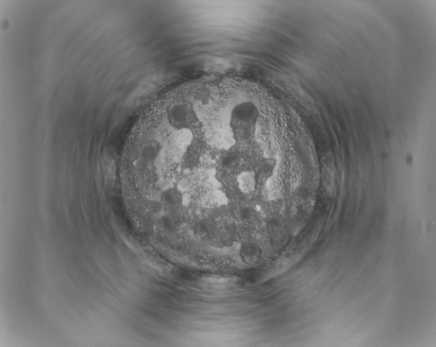 X0000088590375200706081334