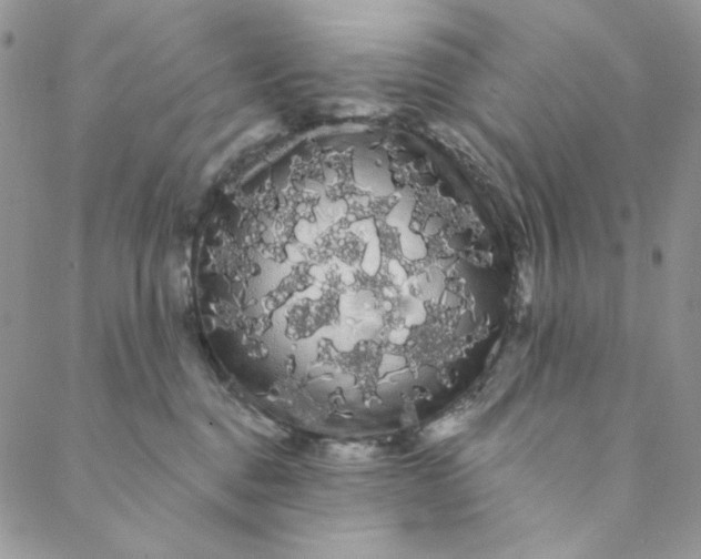 X0000088590376200706081334