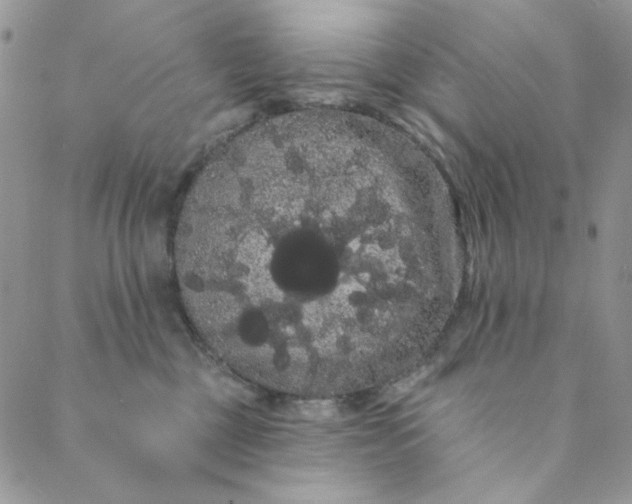 X0000088590377200706081334