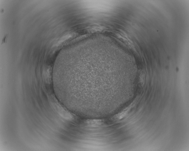 X0000088590378200706081334