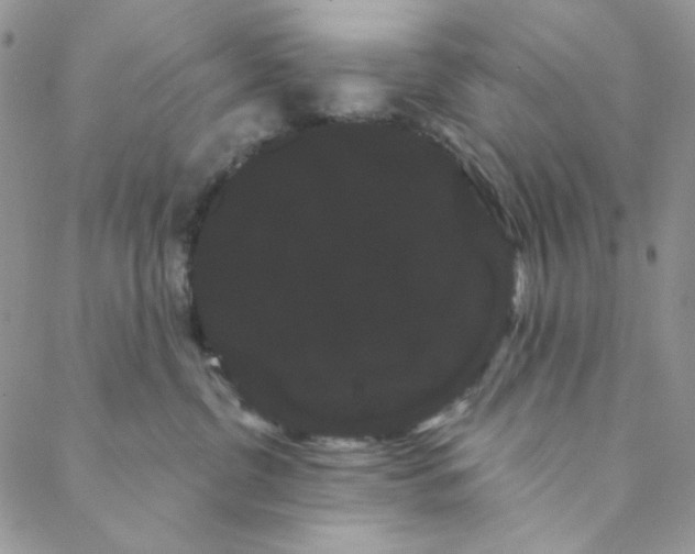 X0000088590380200706081334