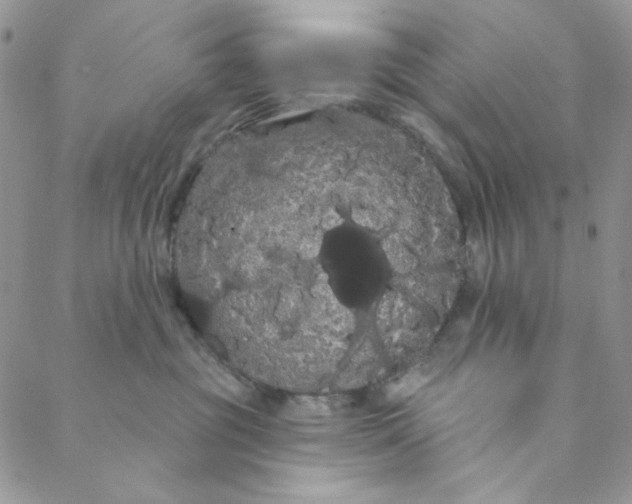 X0000088590381200706081334