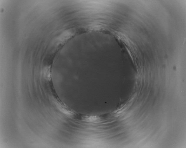 X0000088590383200706081334