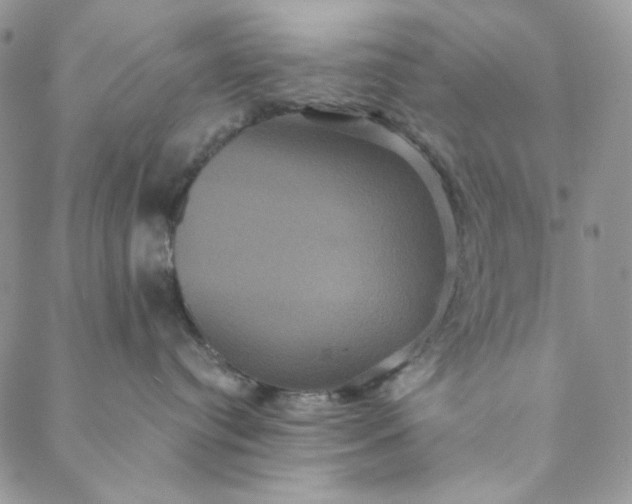 X0000088590384200706081334