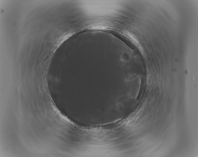 X0000088590385200706081333