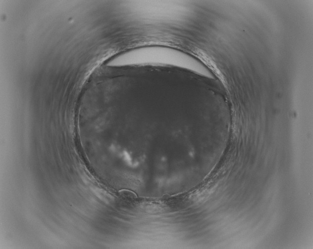 X0000088590386200706081333