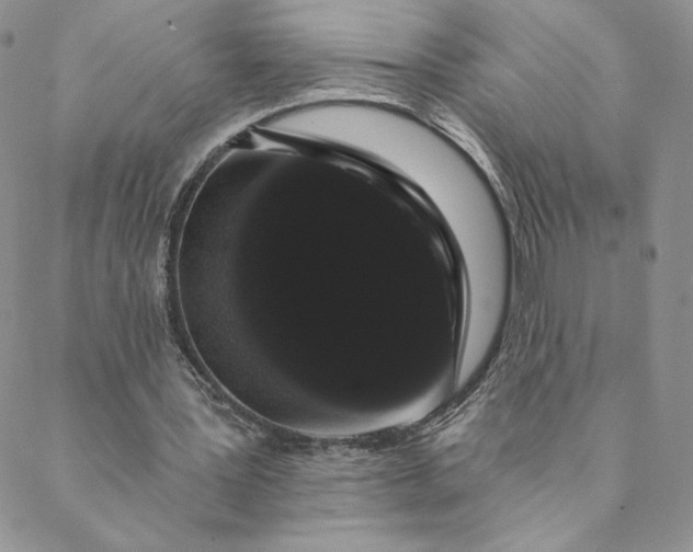 X0000088590387200706081333