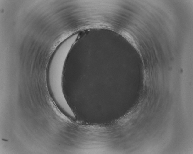 X0000088590389200706081333