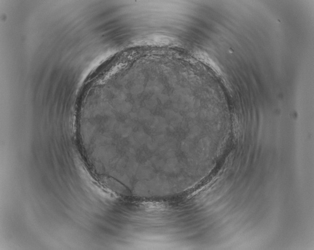 X0000088590392200706081333