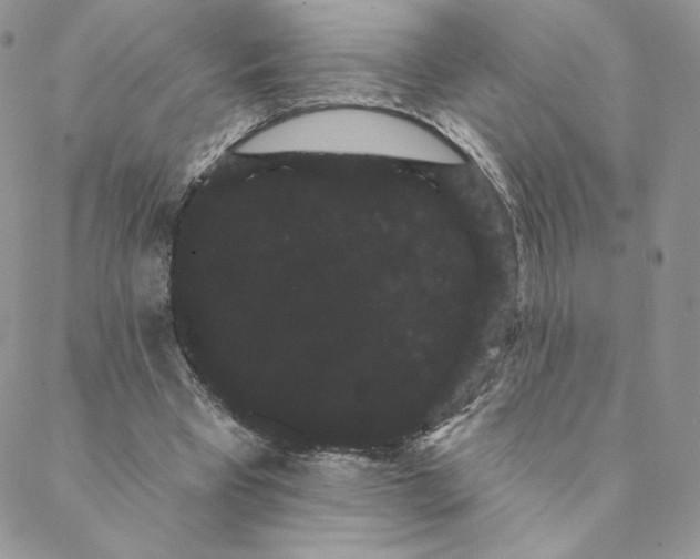 X0000088590393200706081333