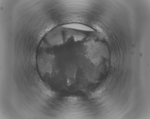 X0000088590394200706081333