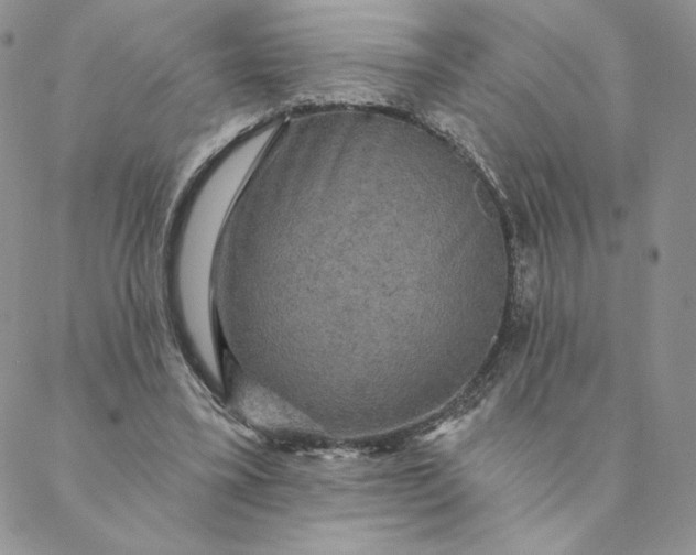 X0000088590395200706081333