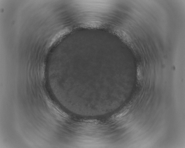 X0000088590396200706081333