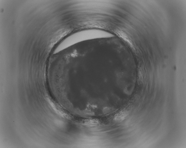 X0000088590398200706081333