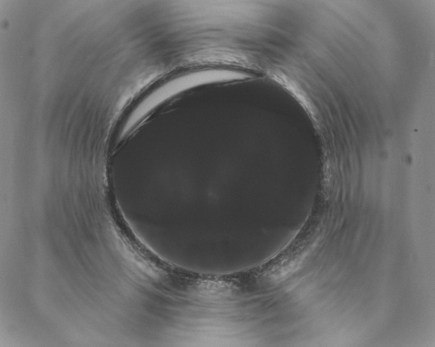 X0000088590399200706081333