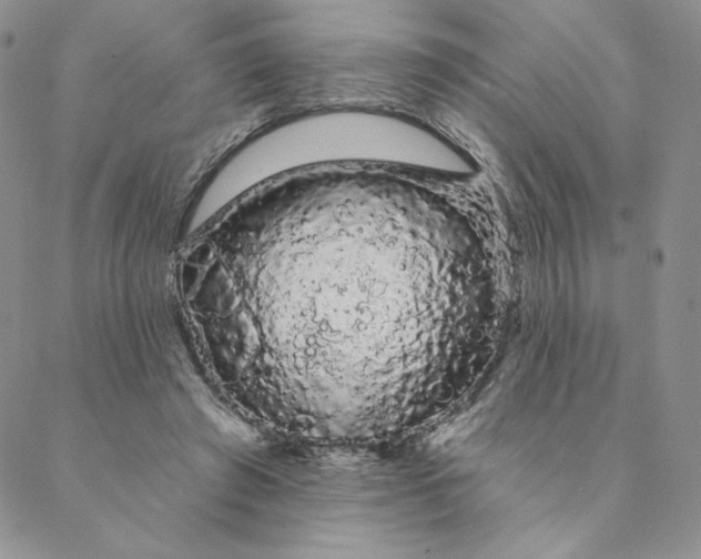 X0000088590401200706081333