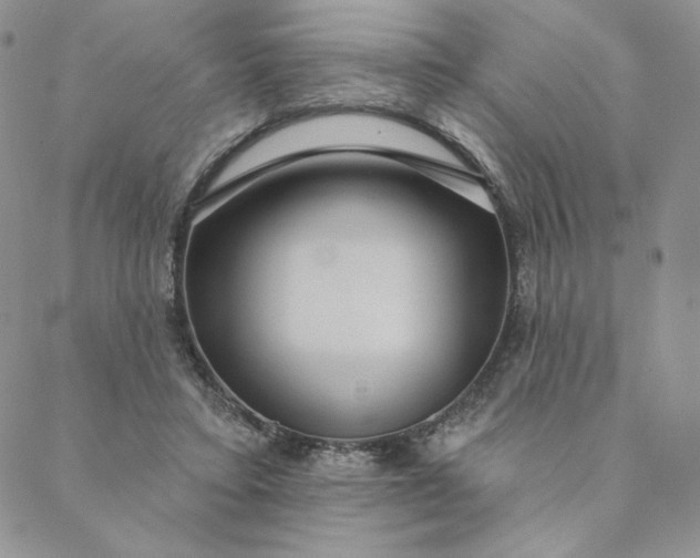 X0000088590403200706081333