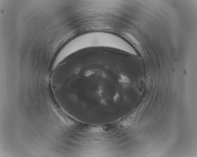 X0000088590405200706081333