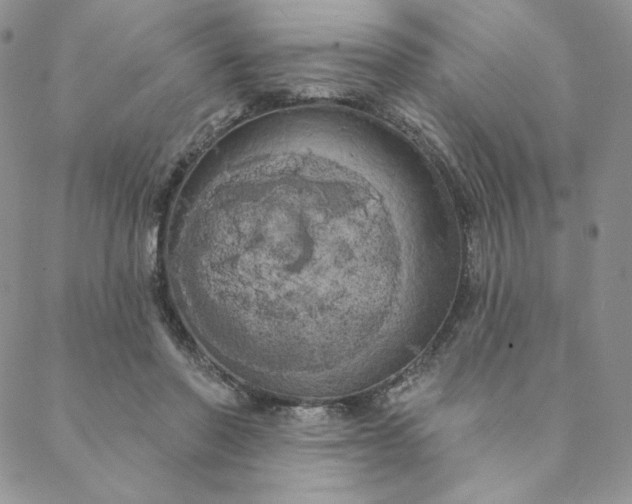 X0000088590406200706081333