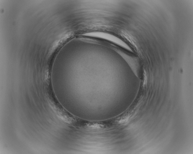 X0000088590407200706081333