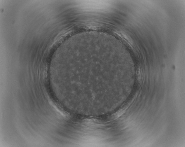 X0000088590408200706081333