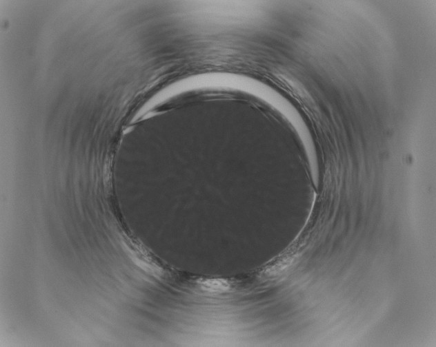 X0000088590409200706081333