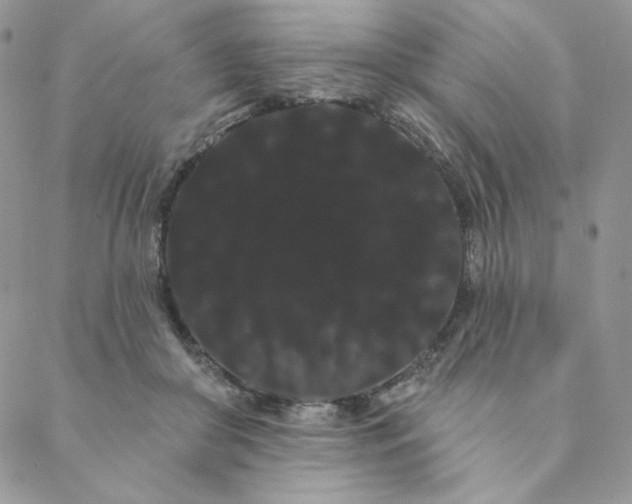 X0000088590410200706081333