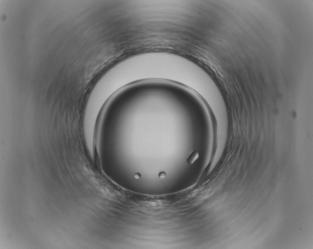 X0000088590411200706081333