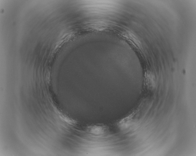 X0000088590412200706081333