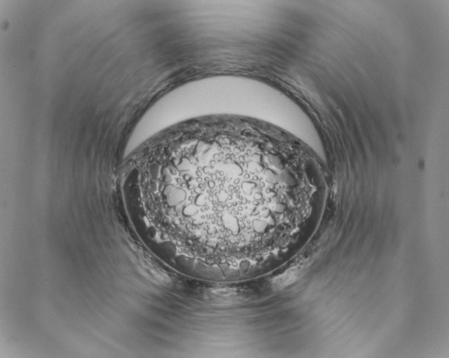 X0000088590413200706081333