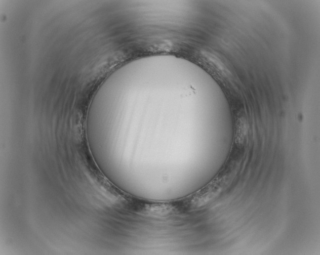 X0000088590414200706081333