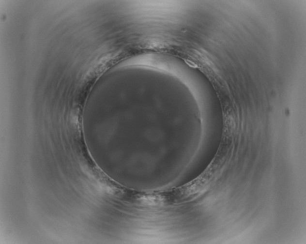 X0000088590415200706081333