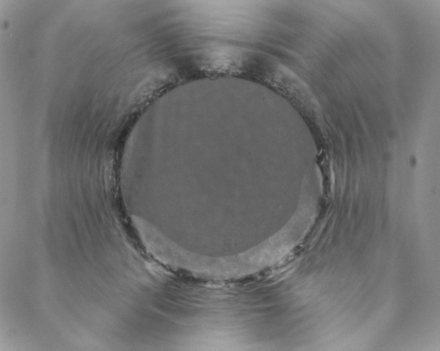 X0000088590416200706081333