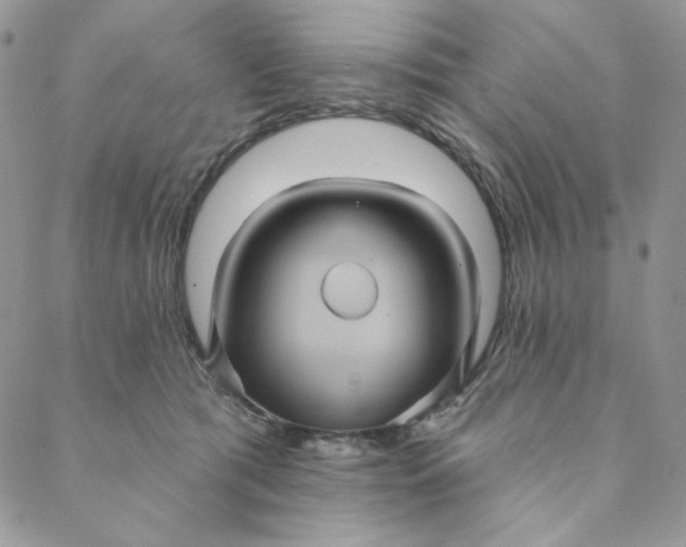 X0000088590417200706081333