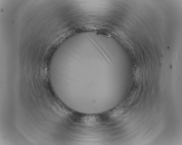 X0000088590418200706081332