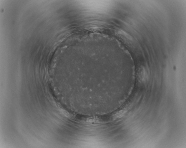 X0000088590420200706081332