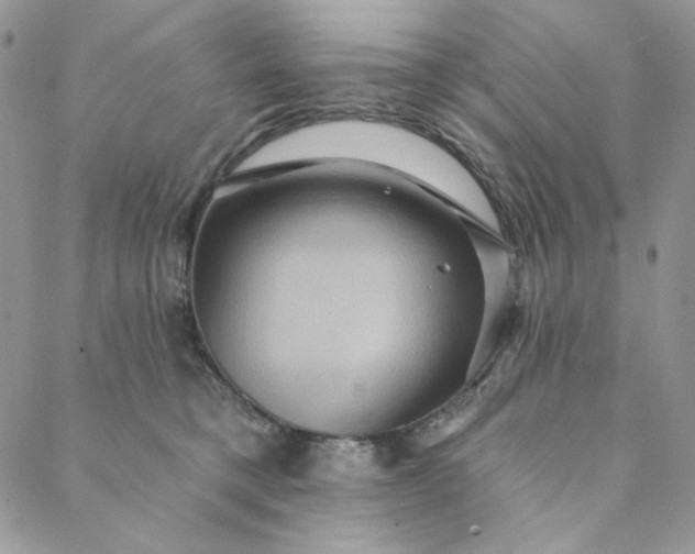 X0000088590421200706081332